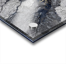 Veins of Time – Black and Gold Tree Abstract Print Impression Acrylique