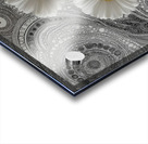 Gerbera – Daisy Flowers in Cosmic Pattern Print Acrylic print