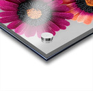 Beaded Blossoms – Textured Pink Daisy Abstract Print Acrylic print