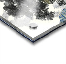 Sanctuary Root – Architectural Tree Reflection Print Acrylic print