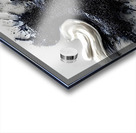 Ivory & Onyx Collision – Abstract Paint Splash Print Acrylic print