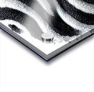 Zebra Orbit – Monochrome Ripple Sphere Print Acrylic print