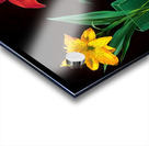 Neon Stems – Trio of Lilies on Black Print Acrylic print