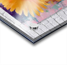 Patio Pots – Cheerful Gerbera Duo Print Acrylic print