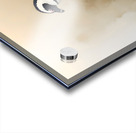 Steps of Solitude – Penguin on Stone Wall Print Acrylic print