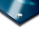 Blue Silence – Belugas in Still Water Print Acrylic print