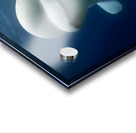 Arctic Companions – Beluga Whales Print Acrylic print