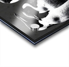 The Council – Emperor Penguins Print Acrylic print