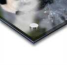 River Charge – Panda Play Print Acrylic print