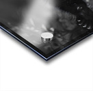 Morning Stretch – Red Panda Monochrome Print Acrylic print