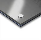 Mistwatcher - Raccoon Print Acrylic print