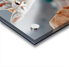 Sand Whisper – Fennec Fox Print Acrylic print