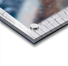 Alpine Titan – Grizzly Bear Print Acrylic print