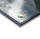 Summit Guardian – Kodiak Bear Print Acrylic print