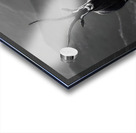 Silent Horn – Saola Print Acrylic print