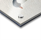 Watercolor Wanderer – Penguin Print Acrylic print