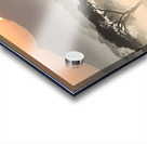 Whispering Plains – Saola Print Acrylic print