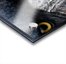 Prehistoric Stare – Present Day Shoebill Print Acrylic print