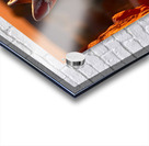 Dustwalker – Fennec Fox Print Acrylic print