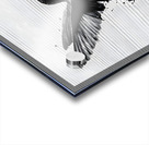 Inkflight – Monochrome Hummingbird Print Acrylic print