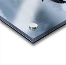 Whispers of the Sea – Orca in the Mist Print Acrylic print