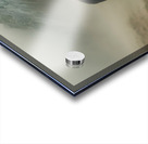 Spirit of the North – Grizzly in the Mist Print Acrylic print