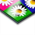 Daisy Days – Color Block Pop Art Print Acrylic print