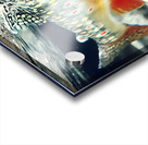 Into the Current – Trout Print Impression Acrylique