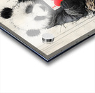 Street Panda – I Love You Print Acrylic print