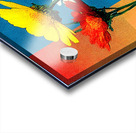 Rainbow Bloom – Color Block Daisy Print Acrylic print