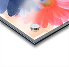 Cotton Candy Gerbera – Pink Blue Daisy Print Acrylic print