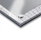 Emperor’s Gaze – Emperor Tamarin Monkey Portrait Print Acrylic print