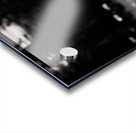 Wild Solitude – Orange Flower in Mountain Meadow Print Acrylic print