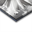 Sky Whisper – Monochrome Daisy Under Clouds Impression Acrylique