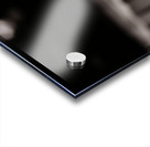 Defiant Bloom – Yellow Flower on Fence Print Acrylic print