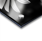 Twilight Petals – Black and White Floral Portrait Acrylic print