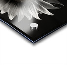 Obsidian Petals – Dark Botanical Fine Art Print Acrylic print