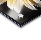 Silver Petals – Monochrome Sunflower Portrait Print Acrylic print