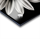 Wallflower – Sunflower of Resilience Print Acrylic print