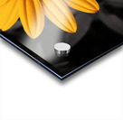 Lone Glow – Yellow Sunflower on Black Print Impression Acrylique