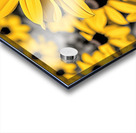 Radiant Reverie – Yellow Blossom Panorama Print Acrylic print