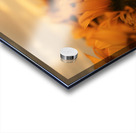 Golden Haze – Radiant Sunflower Morning Print Impression Acrylique