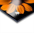 Field of Fire – Vibrant Sunflower Panorama Print Impression Acrylique