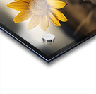 Golden Resolve – Sunflower in Sepia Field Print Acrylic print