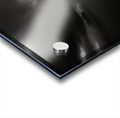 Hope in Bloom – Selective Color Sunflower Print Acrylic print