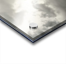 Stormwatch – Sunflower Under Clouded Sky Print Acrylic print