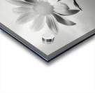 Solitary Grace – Monochrome Sunflower Portrait Print Acrylic print