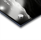 Moonlit Bloom – Night Flower Monochrome Print Acrylic print