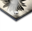 Standing Tall – Sunflower Monochrome Landscape Print Acrylic print