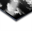 Whispers of the Sky – Monochrome Daisy Field Print Acrylic print